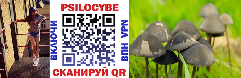 наркошоп  Донской  Галлюциногенные грибы мухоморы 