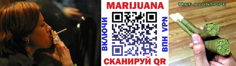 Бошки Шишки гибрид  Донской 